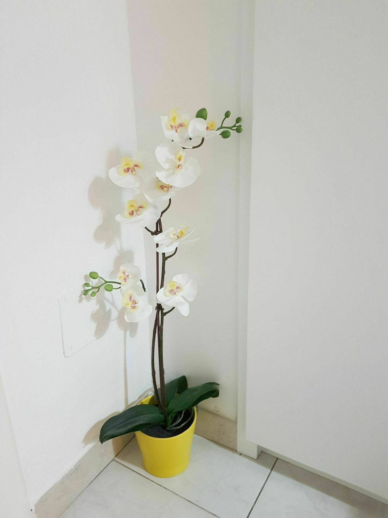 Happy Apartment Lecce Dış mekan fotoğraf